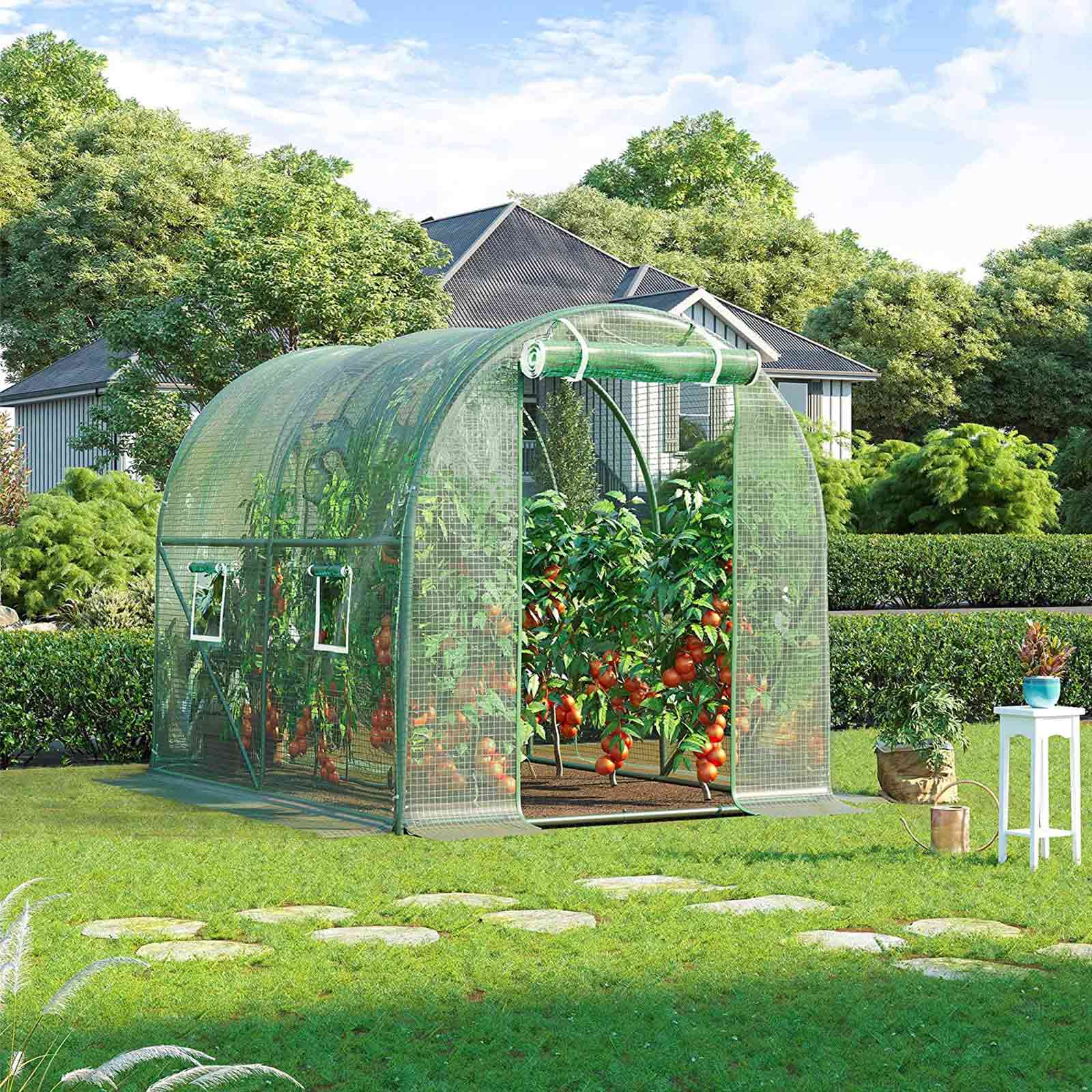 Nastro Rosso Largo Set 20 Lacci Per Piante Elastici - Nastro Da Giardino Per Pomodori, Cetrioli, Uva, Colore Rosso Elastici Larghi - Foto 6